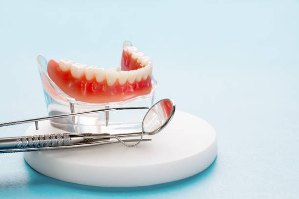 Best Dental Exams and Cleanings  in Maumee, OH